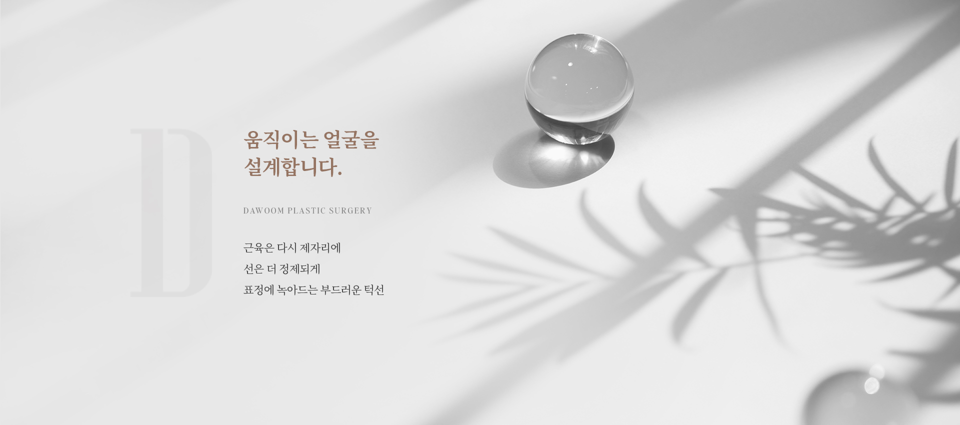 턱끝거상 상세03